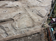 FileNo.210-104.jpg