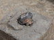 FileNo.210-108.jpg