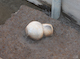 FileNo.210-109.jpg