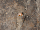 FileNo.210-114.jpg