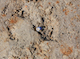 FileNo.210-115.jpg