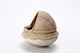 FileNo.210-231.jpg