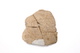 FileNo.210-233.jpg