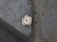 FileNo.210-143.jpg