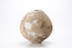 FileNo.210-239.jpg