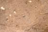 FileNo.211-050.jpg