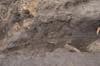 FileNo.211-061c.jpg