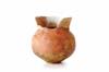 FileNo.212-086.jpg
