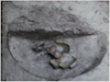 FileNo.209-031.png