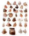 FileNo.209-093.png