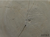 FileNo.209-185.png