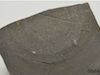 FileNo.209-217.png
