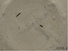 FileNo.209-237.png