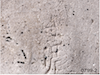 FileNo.209-253.png