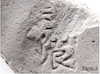 FileNo.209-283.png