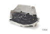 FileNo.209-294.png