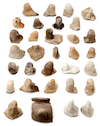 FileNo.209-329.png