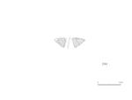 図版 209-J244.png