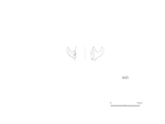 図版 209-J445.png