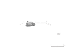 図版 209-J972.png