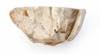 FileNo.213-244.jpg