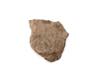 FileNo.213-283.jpg
