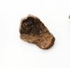 FileNo.213-286b.jpg