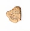FileNo.213-291b.jpg
