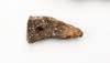 FileNo.213-318b.jpg