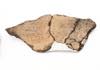 FileNo.213-319b.jpg