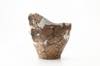FileNo.213-338.jpg