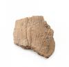 FileNo.213-391.jpg