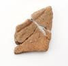 FileNo.213-398.jpg