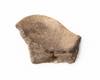 FileNo.213-421b.jpg