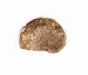 FileNo.213-462b.jpg