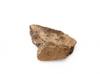 FileNo.213-463.jpg