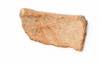 FileNo.213-541b.jpg