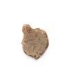 FileNo.213-594.jpg