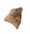 FileNo.213-598.jpg