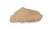 FileNo.213-787.jpg
