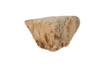 FileNo.213-793.jpg