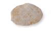 FileNo.213-851.jpg