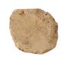 FileNo.213-852.jpg