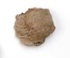 FileNo.213-875.jpg