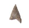 FileNo.213-876.jpg