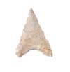 FileNo.213-878.jpg
