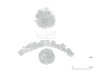図版 213-J191.png
