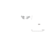 図版 213-J233.png