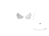 図版 213-J239.png