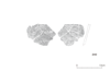 図版 213-J240.png